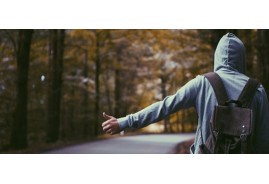 Cras congue nisi vel massa mollis dictum.